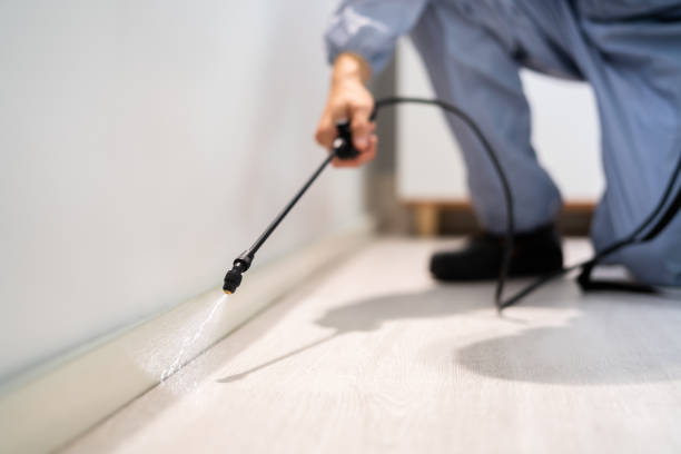 Licensed Rodent Control service in Wharton County County, TX - Nex Pest Control